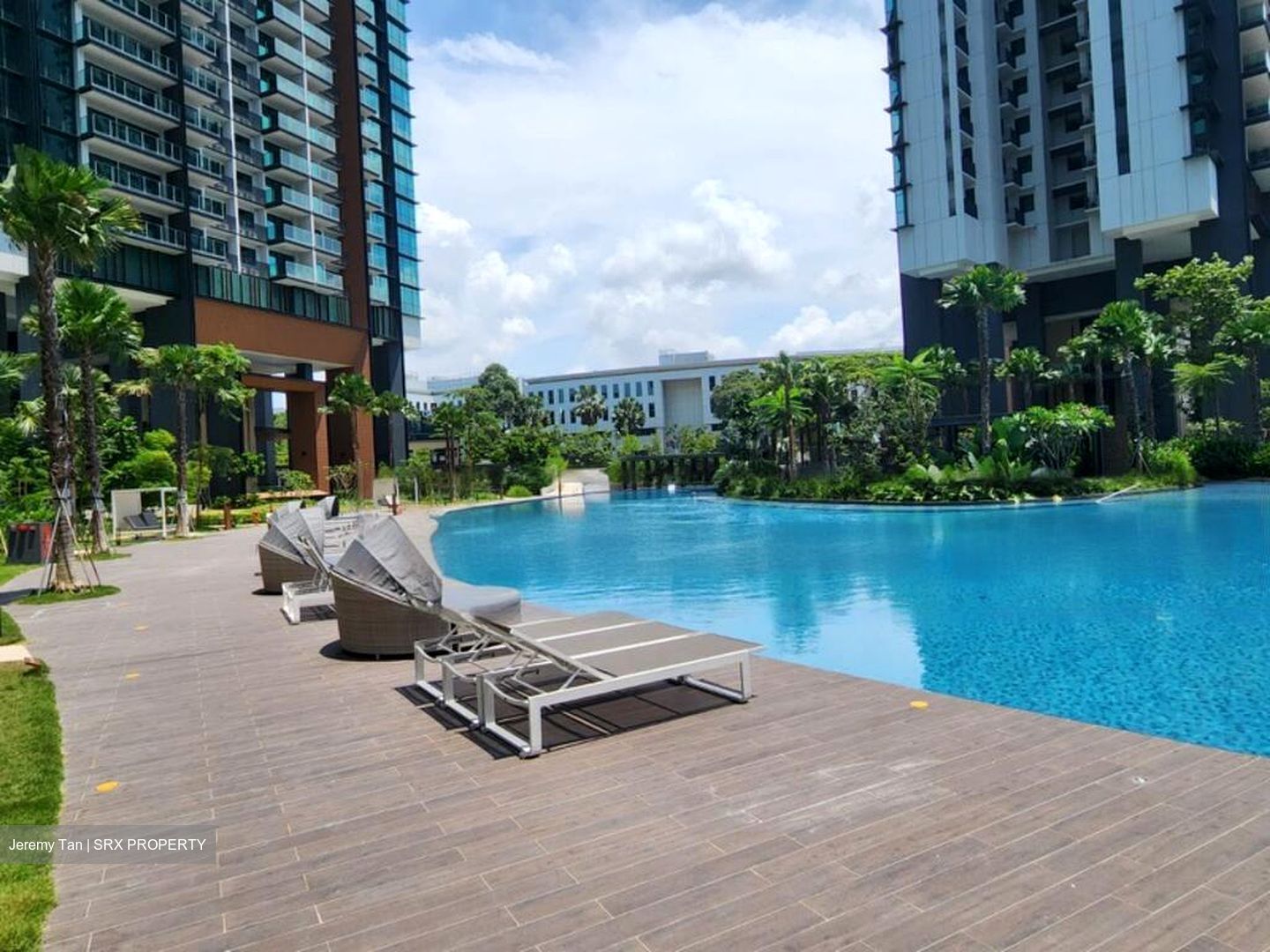 Normanton Park (D5), Apartment #460994991